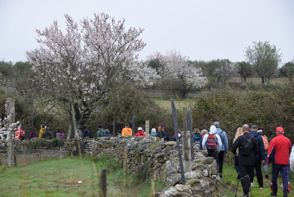 649230309 917833887555341 6112000453526581287 N