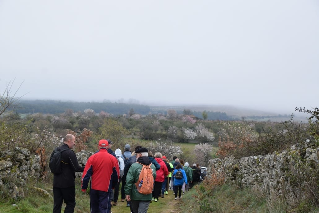 649241835 917832754222121 5530926585112991061 N