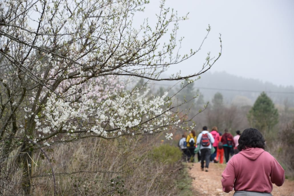 649251123 917834660888597 3330179737163093798 N