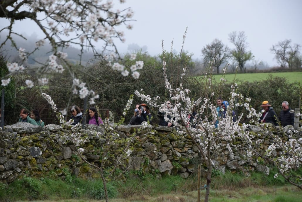 649331283 917833987555331 1798934184315658222 N