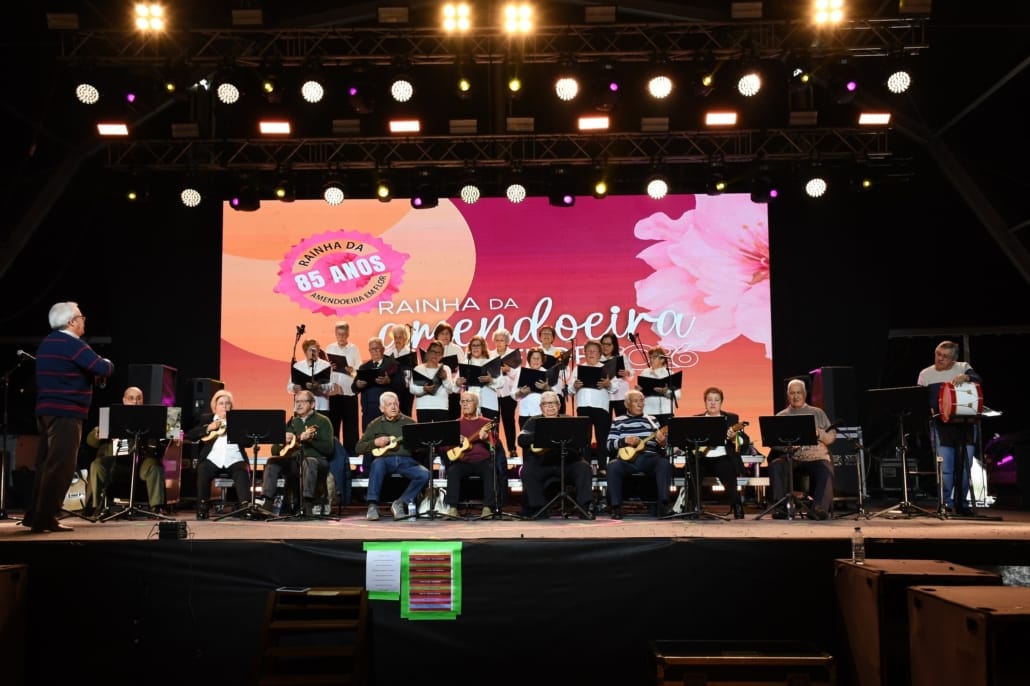 649345373 918009000871163 4846424181897739932 N