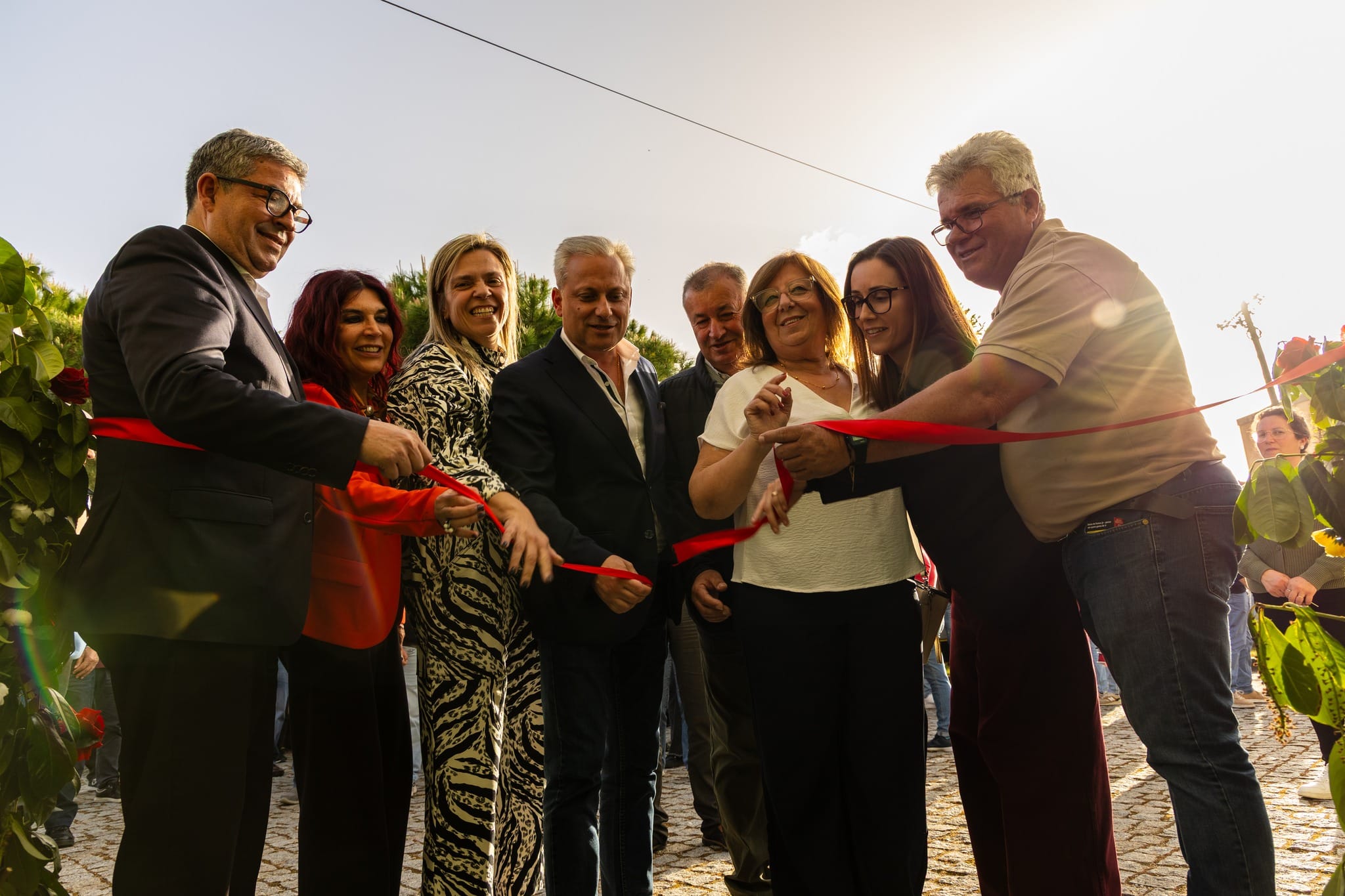 668542550 944015648270498 1093146425072946867 N