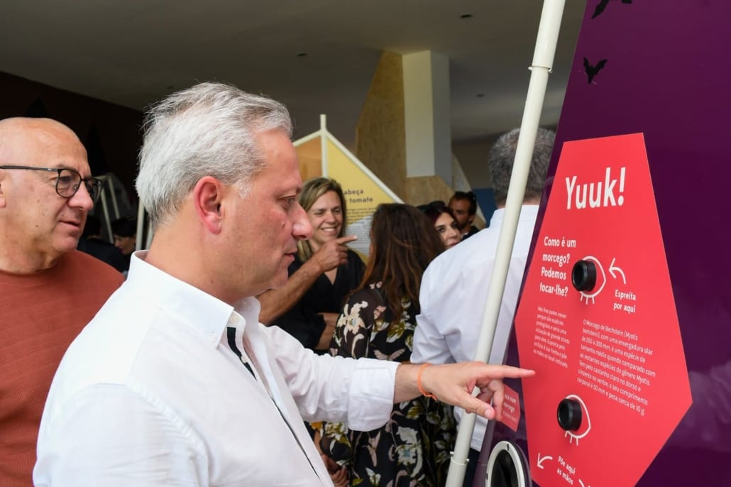 673744573 2014175909474258 6444326911847920824 N