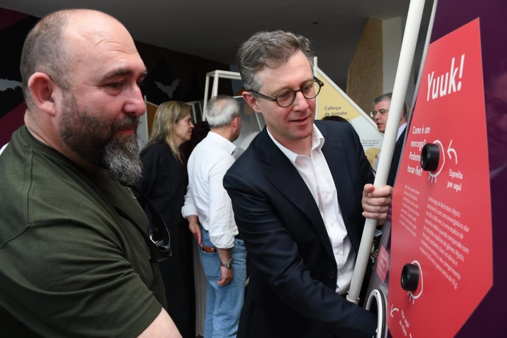 674352943 2007562693215613 4090009974334470823 N