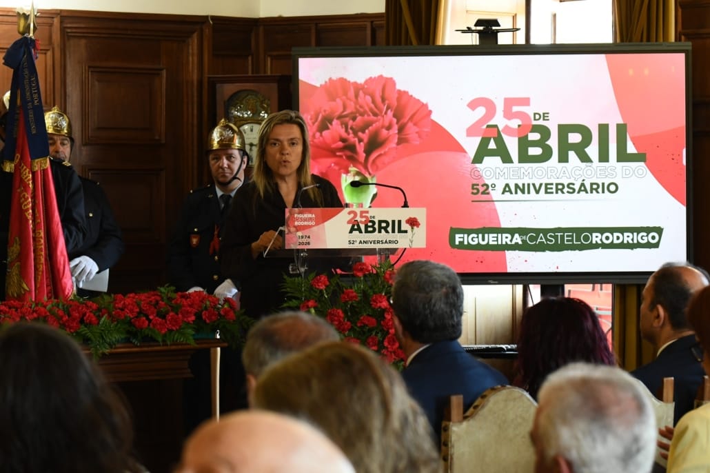 681353002 955324670472929 3633419848070942398 N