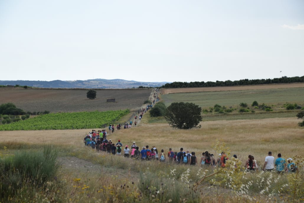 Dsc 1107